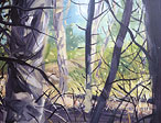 link to Rustle and stir1